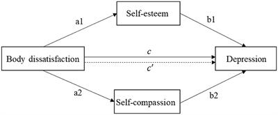 Mediating effects of self-esteem and self-compassion on the relationship between body dissatisfaction and depression among adolescents with polycystic ovary syndrome